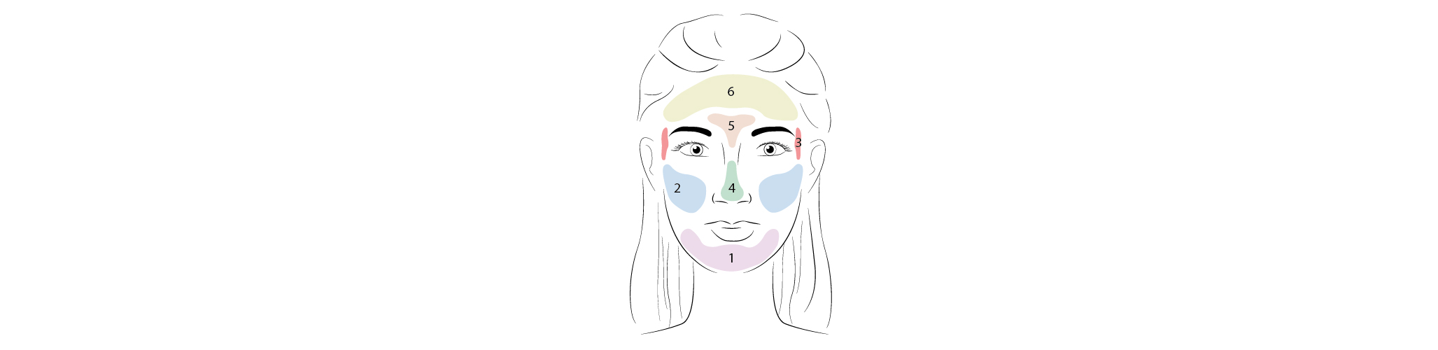 Carte du facemapping